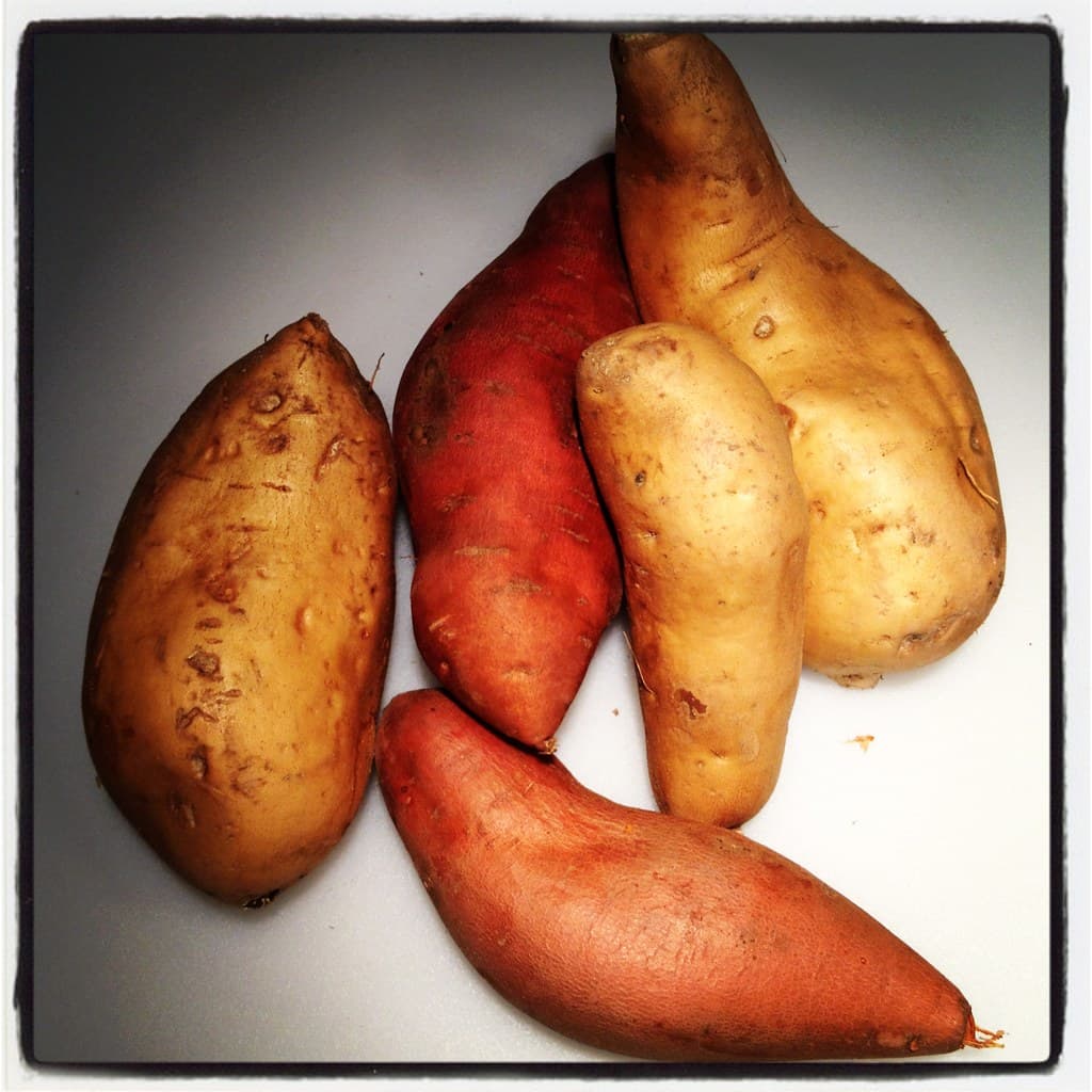 Graded sweet potatoes on the sorting bench